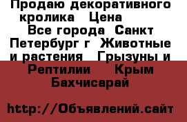 Продаю декоративного кролика › Цена ­ 500 - Все города, Санкт-Петербург г. Животные и растения » Грызуны и Рептилии   . Крым,Бахчисарай